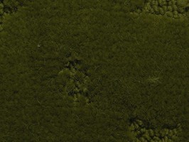 范登伯格 卡特系列 地毯 42A-2152