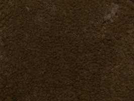 范登伯格 卡特系列 地毯 342-245