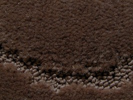 范登伯格 卡特系列 地毯 342-4039