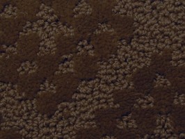 范登伯格 卡特系列 地毯 G90-F920