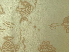STAR 精品  561-2