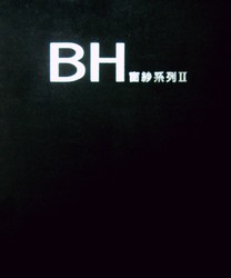 BH 窗紗系列II