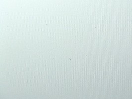 比佛利捲簾  330