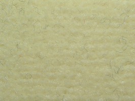 范登伯格 家園系列 地毯 ZY04