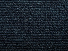 波麗TPA系列 CARPET TILE 羅貝多 方塊地毯 TPA 16