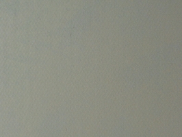 Nice 壁布  p23-ABS-17-01