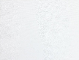 OLIVE歐力旺 壁布  3618-1