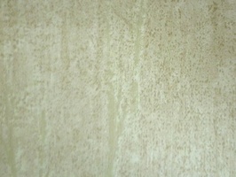 Elegant 丰采 壁布  35-SM6004