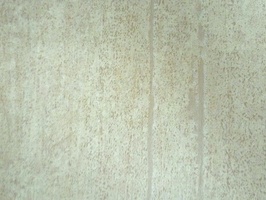 Elegant 丰采 壁布  37-SM6002