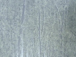 Elegant 丰采 壁布  38-SM6105