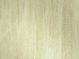 Elegant 丰采 壁布  42-SM6403