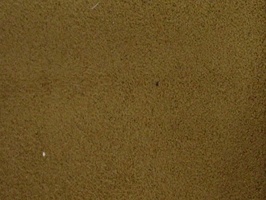 米松 家飾布 窗簾 第3頁 1235