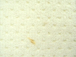 米松 家飾布 窗簾 第6頁 1530