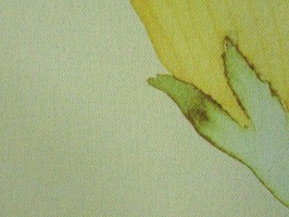 米松 家飾布 窗簾 第17頁 3386