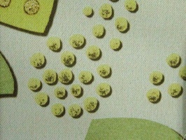 米松 家飾布 窗簾 第18頁 3561