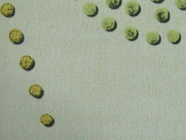 米松 家飾布 窗簾 第18頁 3564