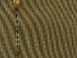 米松 家飾布 窗簾 第26頁 6525