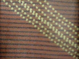 米松 家飾布 窗簾 第28頁 6705