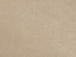G.P 壁布 T8-16
