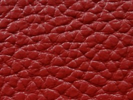 HO SHUO 禾碩 壁布    2310