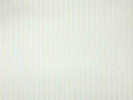 CHAMPION2 壁布 2855