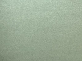 CHAMPION2 壁布 14579