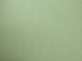 CHAMPION2 壁布 14581