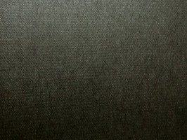 CHAMPION2 壁布 14606
