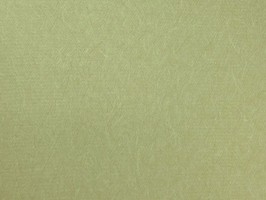 CHAMPION2 壁布 15459