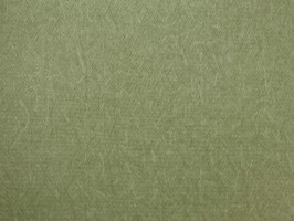 CHAMPION2 壁布 15461
