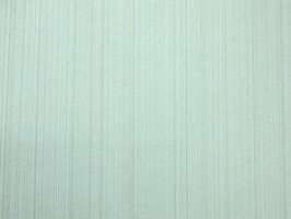 CHAMPION2 壁布  FG103