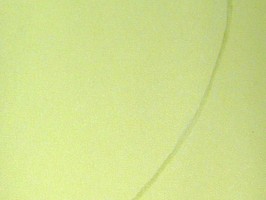 Leo Foo 六福歐式傢飾布  NO-556-1