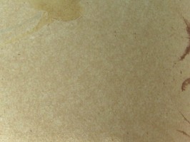 Leo Foo 六福歐式傢飾布  NO-692-1