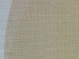Luxury & Comfort 捲簾  R1303
