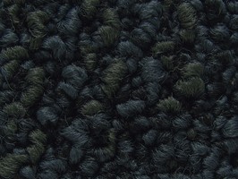 LOTUS 3D A系列 B系列 方塊地毯 US 3D 332B