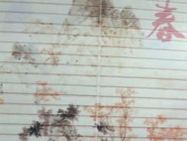 YUAN FONG 窗飾 25mm橫式鋁合金百葉 百葉窗 AP05