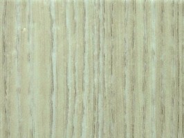 AJ P-Floor Inter-Look 塑膠地磚 AJWD-013