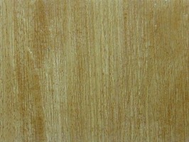 AJ P-Floor Inter-Look 塑膠地磚 AJWD-021