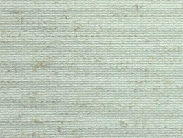 R.H調光斑馬窗簾．捲簾Ｂ  捲WA-5051 直WB-551
