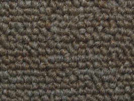 FORMOSA carpet晶晶正500系列 地毯 505