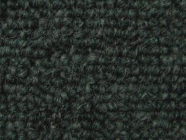 FORMOSA carpet晶晶正500系列 地毯 521