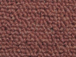 FORMOSA carpet晶晶正500系列 地毯 535