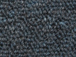 FORMOSA carpet晶晶正500系列 地毯 538