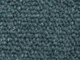 FORMOSA carpet晶晶正500系列 地毯 539