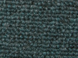 FORMOSA carpet晶晶正500系列 地毯 583