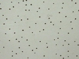 明架天花板板材 輕鋼架 麥頓 岩棉裝飾吸音板 MY700