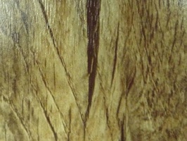 雙鑽系列 BLOSSOM 02 木地板 6062 卡羅來納橡木