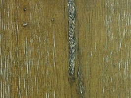 Lamett 仿古鋸痕強化系列 木地板 本色橡 (473)