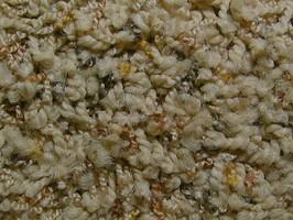 MeiChi CARPET Califorma 地毯 03