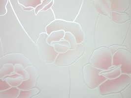 Soft Image 舒芙樂 壁紙 NPP256603